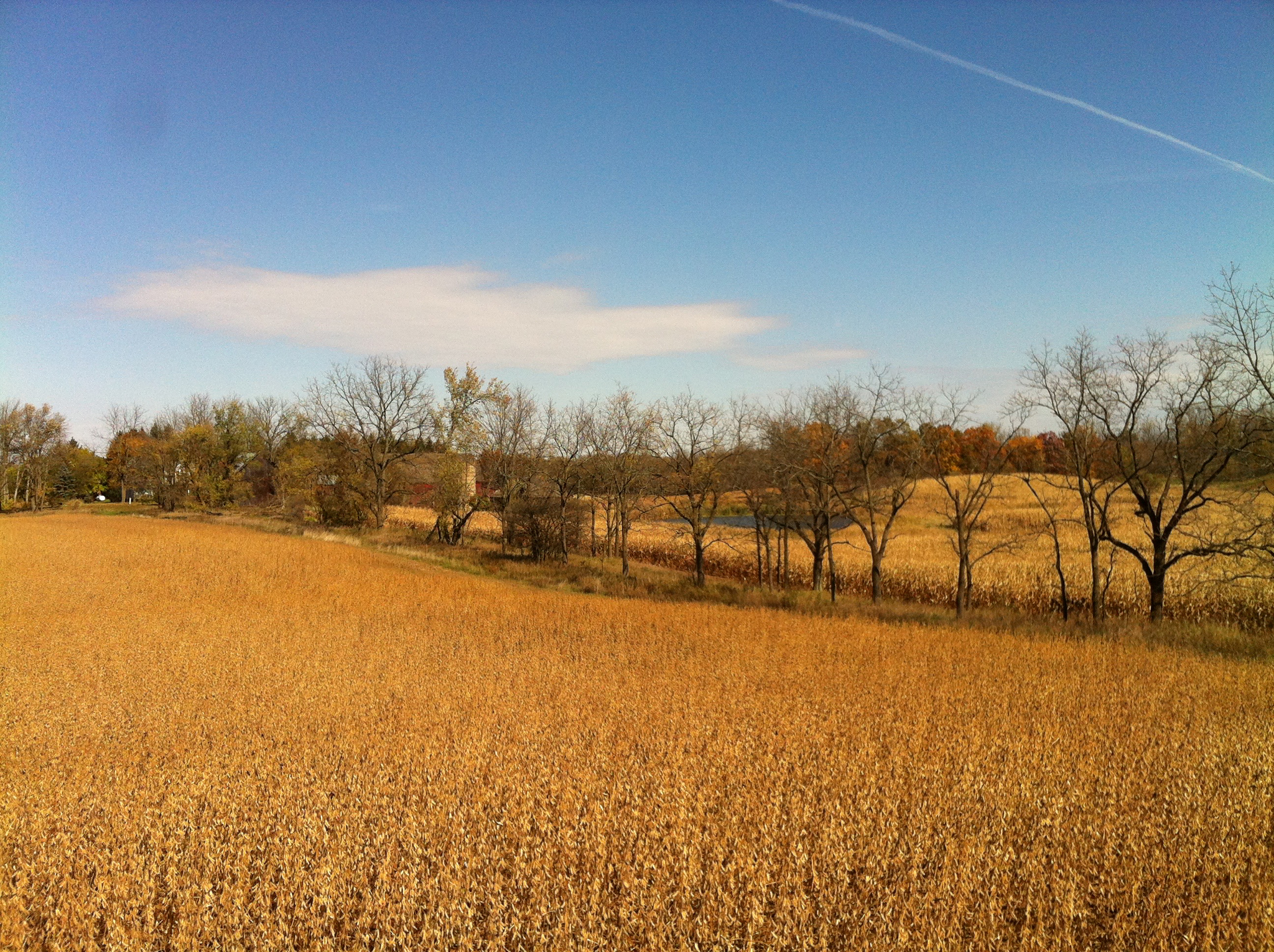 How to purchase vacant land