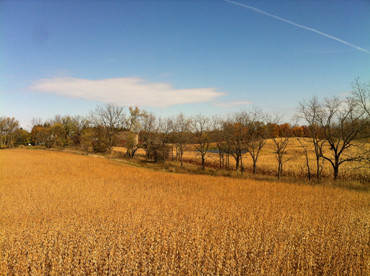 How to purchase vacant land