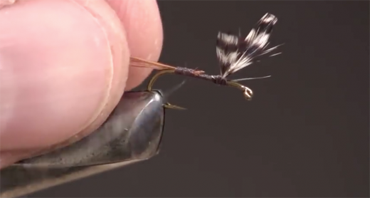 Fly Fishing Lure