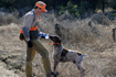 Hunting Property