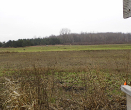 Tuscola County Farm and Hunt