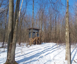 St. Clair County 51