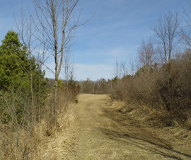 Michigan Properties For Sale