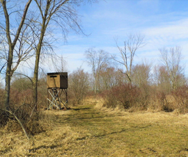 Michigan Properties For Sale