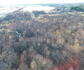 Michigan Properties For Sale