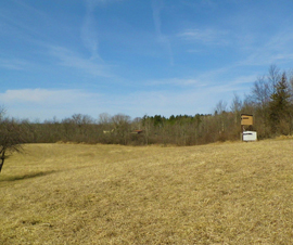 Michigan Properties For Sale
