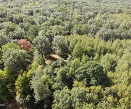 Porcupine Lodge