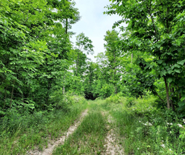 Michigan Properties For Sale