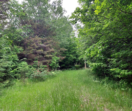 Michigan Properties For Sale