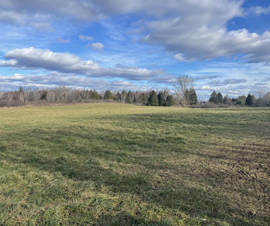 Michigan Properties For Sale