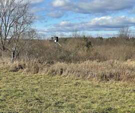 Michigan Properties For Sale