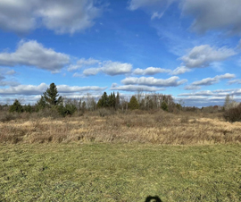 Michigan Properties For Sale