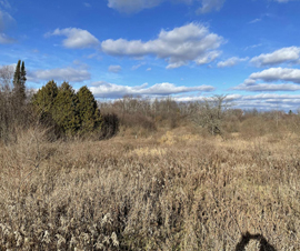 Michigan Properties For Sale