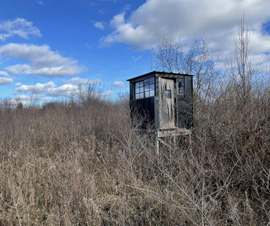 Michigan Properties For Sale