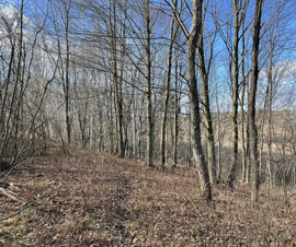 Michigan Properties For Sale