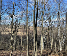 Michigan Properties For Sale