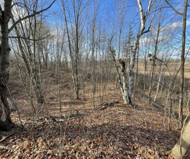 Michigan Properties For Sale