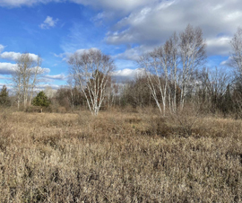 Michigan Properties For Sale