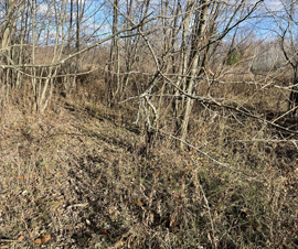 Michigan Properties For Sale