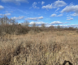 Michigan Properties For Sale
