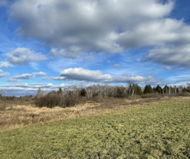 Michigan Properties For Sale