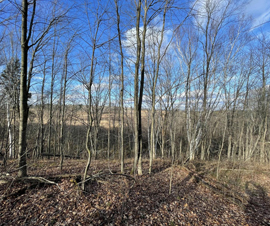 Michigan Properties For Sale