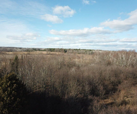 Michigan Properties For Sale