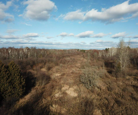 Michigan Properties For Sale