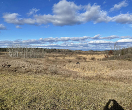 Michigan Properties For Sale