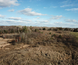 Michigan Properties For Sale