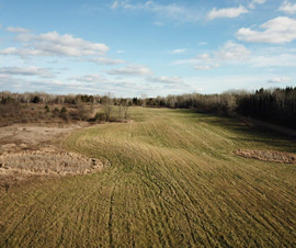 Michigan Properties For Sale