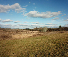 Michigan Properties For Sale