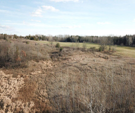 Michigan Properties For Sale