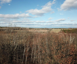 Michigan Properties For Sale