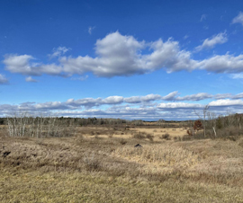 Michigan Properties For Sale