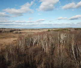 Michigan Properties For Sale