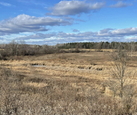 Michigan Properties For Sale
