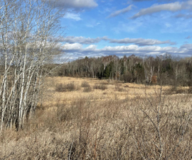 Michigan Properties For Sale
