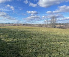 Michigan Properties For Sale