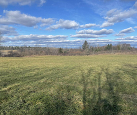 Michigan Properties For Sale