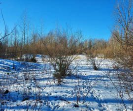 Fostoria 10 acres Parcel E