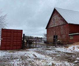 Michigan Properties For Sale
