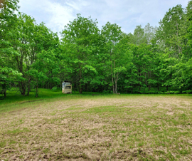 Ogemaw County 180
