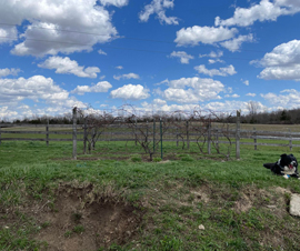 Michigan Properties For Sale