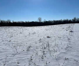 Michigan Properties For Sale