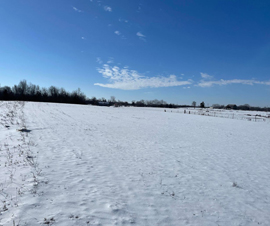 Michigan Properties For Sale