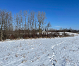 Michigan Properties For Sale