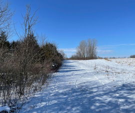 Michigan Properties For Sale