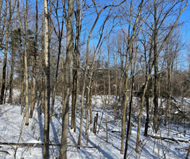 Michigan Properties For Sale