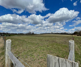Michigan Properties For Sale